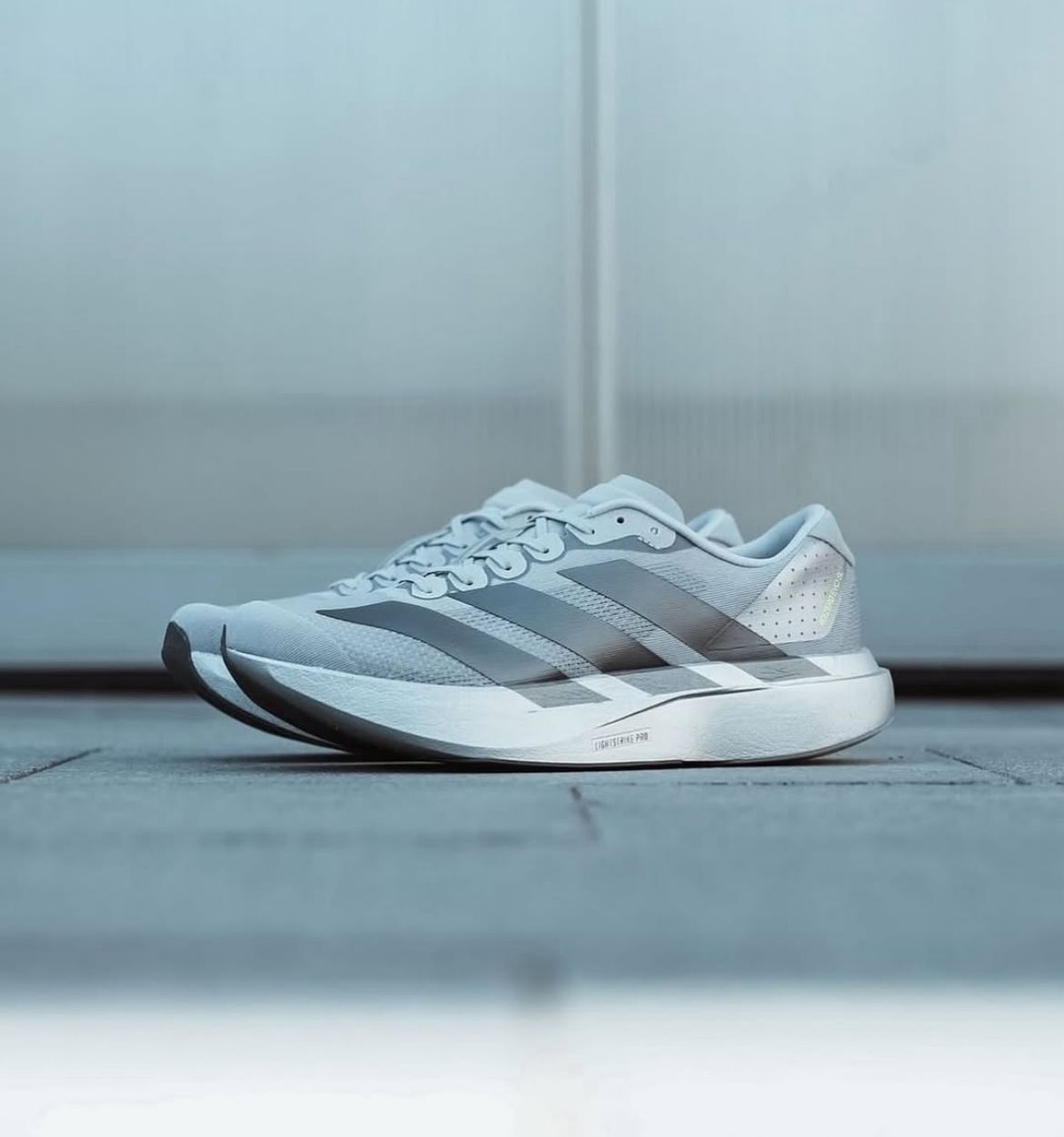 Adidas Running Adizero Evo SL Trainersgrey