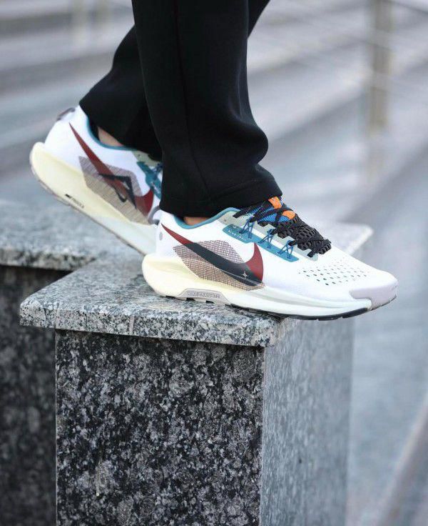 NIKE PEGASUS TRAIL 5 MULTI