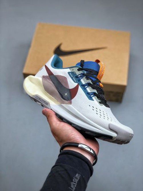 NIKE PEGASUS TRAIL 5 MULTI